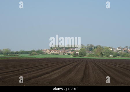 Neu gepflügt Felder auf Süd Fen mit dem Dorf Sutton-in-the-Isle im Hintergrund Stockfoto