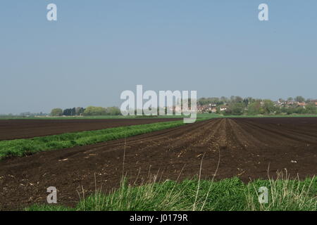 Neu gepflügt Felder auf Süd Fen mit dem Dorf Sutton-in-the-Isle im Hintergrund Stockfoto