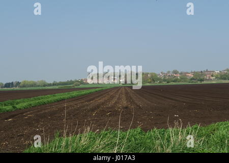 Neu gepflügt Felder auf Süd Fen mit dem Dorf Sutton-in-the-Isle im Hintergrund Stockfoto