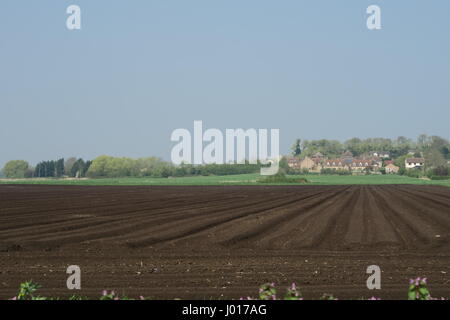 Neu gepflügt Felder auf Süd Fen mit dem Dorf Sutton-in-the-Isle im Hintergrund Stockfoto