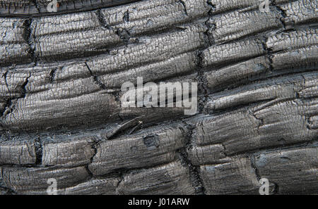 Oberfläche von verkohltem Holz als Hintergrund Stockfoto