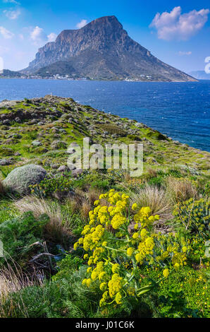 Telendos Insel von Kalymnos mit riesigen Fenchel in der schehens gesehen Stockfoto