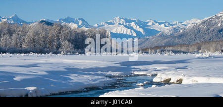 Winterlandschaft. USA. Alaska. Chilkat River. Stockfoto