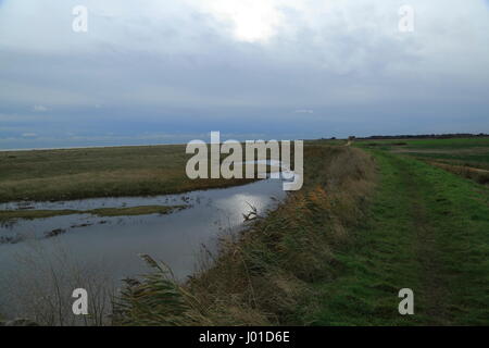 Pools von Wasser zwischen Kies Strand und Flut Verteidigung Wand, Shingle Street, Suffolk, England, UK Stockfoto