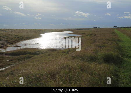 Pools von Wasser zwischen Kies Strand und Flut Verteidigung Wand, Shingle Street, Suffolk, England, UK Stockfoto