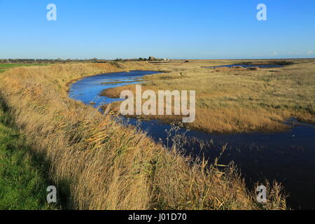 Pools von Wasser zwischen Kies Strand und Flut Verteidigung Wand, Shingle Street, Suffolk, England, UK Stockfoto