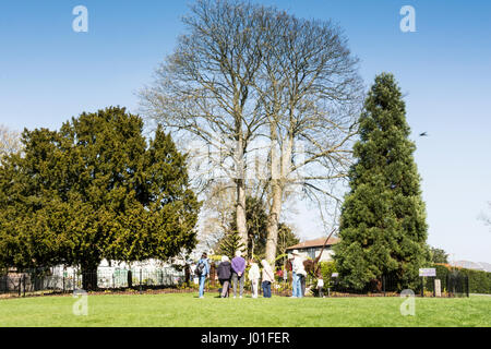 Naturbeobachtung in Horniman Gardens in Forest Hill, London, SE23, Großbritannien Stockfoto