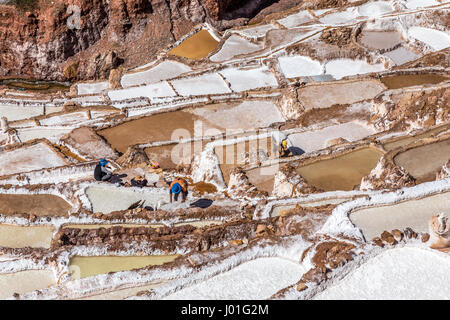 Arbeitnehmer, die ihre harte Arbeit an Salzminen und Becken, Salineras de Maras. Peru Stockfoto