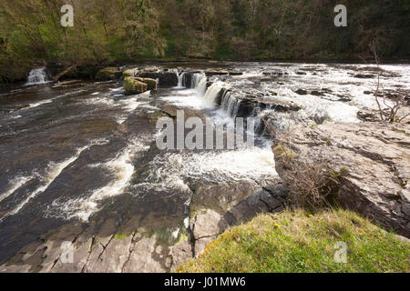 Aysgarth fallen in den Yorkshire Dales National Park Stockfoto