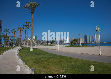 Gehweg und Palmen Bäume entlang Cavancha Beach in Iquique, Nordchile. Stockfoto