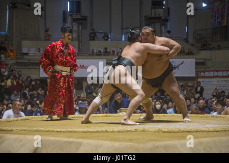 Sumo-Wrestling-Turnier in Okinawa, Japan statt. Stockfoto
