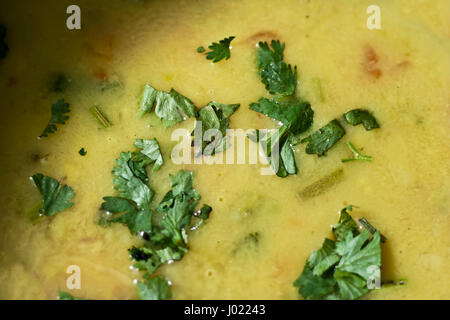 Urad Ki daal auch bekannt als Masse Ki daal. Stockfoto