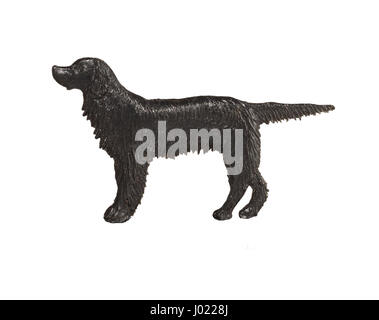 Schwarzer Hund Figur auf weißem Hintergrund, Englisch Setter Stockfoto