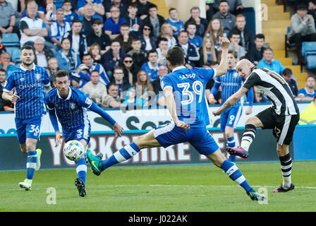 Newcastle United Jonjo Shelvey führt einen Torwurf während der Himmel Bet Meisterschaftsspiel in Hillsborough, Sheffield. Stockfoto