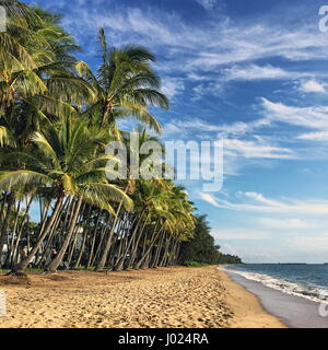 Palm Cove suchen dramatische mit Palmen säumen den Strand, unberührten goldenen Sand, das ruhige Meer, blauer Himmel, wispy weißen Wolken... alles in bevorzugten TNQ pic Stockfoto