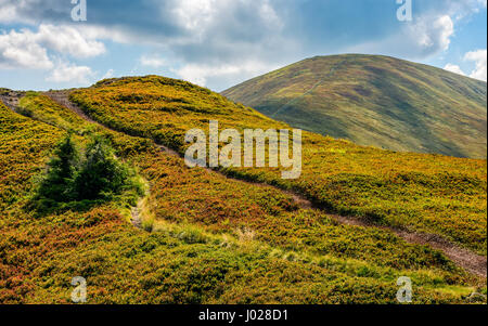 gewundenen Weg durch große Wiesen am Hang. Auf der Spur bergauf Karpaten Bergrücken. warmen und sonnigen Herbsttag mit bewölktem Himmel. Stockfoto