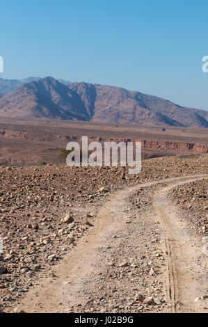 Jordanien: Spuren in der Wüstenlandschaft des Dana-Biosphären-Reservat, ein Schutzgebiet, das ist ein Schmelztiegel von Arten aus Europa, Afrika und Asien Stockfoto