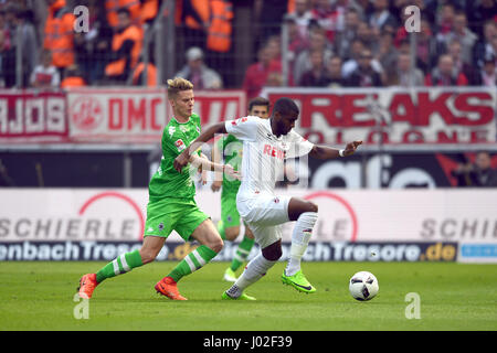 Köln, Deutschland. 8. April 2017. Kölner Anthony Modeste (R) und Mönchengladbach Nico Elvedi wetteifern um den Ball in der deutschen Bundesliga-Fußballspiel zwischen 1. FC Köln und Borussia Moenchengladbach im Publikumseingänge-Stadion in Köln, Deutschland, 8. April 2017. Foto: Federico Gambarini/Dpa/Alamy Live News Stockfoto