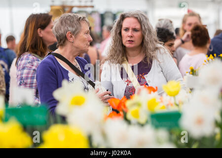 Cardiff, Wales, UK. 9. April 2017. Tausende von Menschen genossen einen sonnigen Tag auf der Royal Horticultural Society in Cardiff, heute 9. April 2017. Die Show findet im Bute Park im Zentrum der Stadt. Bildnachweis: Chris Stevenson/Alamy Live-Nachrichten Stockfoto