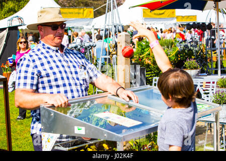 Cardiff, Wales, UK. 9. April 2017. Tausende von Menschen genossen einen sonnigen Tag auf der Royal Horticultural Society in Cardiff, heute 9. April 2017. Die Show findet im Bute Park im Zentrum der Stadt. Bildnachweis: Chris Stevenson/Alamy Live-Nachrichten Stockfoto