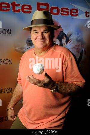 Las Vegas, Nevada, USA. 11. Juli 2013. Ehemalige Hauptliga-Baseball-Spieler PETE ROSE stellt vor Autogramme an die Kunst der Musik innerhalb der Shoppes at Mandalay Place 11. Juli 2013, in Las Vegas, Nevada. Rose gibt Autogramme 15-20 Tage im Monat. Bildnachweis: David Becker/ZUMA Draht/Alamy Live-Nachrichten Stockfoto