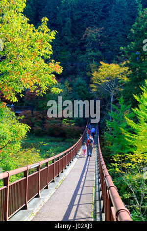 Ishibunebashi Brücke Akigawa Keikoku Tal Akiruno-Shi Tokio Japan Stockfoto