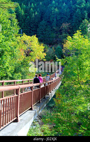 Ishibunebashi Brücke Akigawa Keikoku Tal Akiruno-Shi Tokio Japan Stockfoto