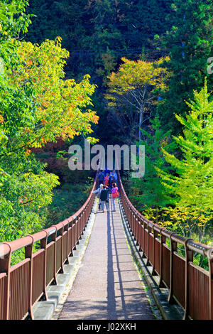 Ishibunebashi Brücke Akigawa Keikoku Tal Akiruno-Shi Tokio Japan Stockfoto