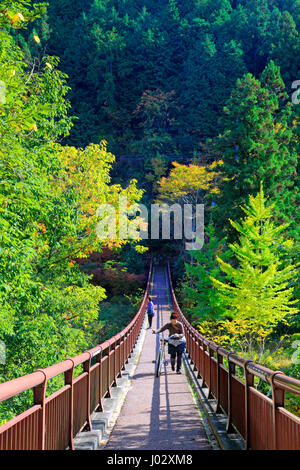 Ishibunebashi Brücke Akigawa Keikoku Tal Akiruno-Shi Tokio Japan Stockfoto