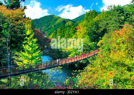 Ishibunebashi Brücke Akigawa Keikoku Tal Akiruno-Shi Tokio Japan Stockfoto