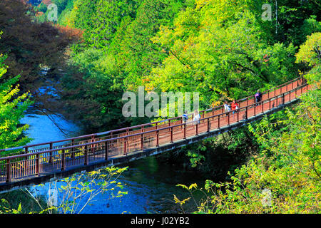 Ishibunebashi Brücke Akigawa Keikoku Tal Akiruno-Shi Tokio Japan Stockfoto