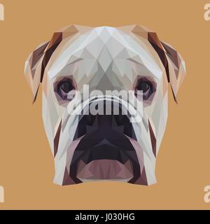 Englische Bulldogge Hund Tier low-Poly-Design. Dreieck-Vektor-Illustration. Stock Vektor