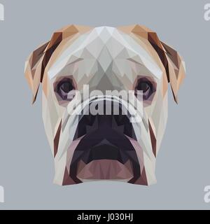Englische Bulldogge Hund Tier low-Poly-Design. Dreieck-Vektor-Illustration. Stock Vektor