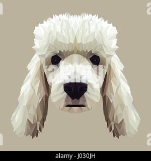 Pudel Hund Tier low-Poly-Design. Dreieck-Vektor-Illustration. Stock Vektor