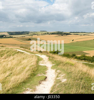 Blick nach Norden in Richtung Chanctonbury vom oberen Wall des Hügels Fort Cissbury Ring im South Downs National Park, West Sussex, Großbritannien. Stockfoto