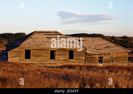 Glenbow Ranch, Cochrane Stockfoto