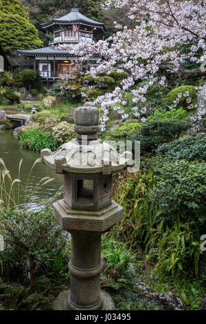 Komyoji ist ein beliebtes Tempel mit Einheimischen in der Kamakura-Gegend für seine reichlichen Kirschblüten im Frühling, häufige Wochenende Flohmärkte und kostenlose parki Stockfoto