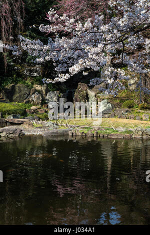 Shinchi Teien oder heiligen Teich Garten entstand während der frühen Meiji-Zeit.  Seit vielen Jahren ruhende verließ, wurde es im Jahr 1999 restauriert.  Die centerp Stockfoto