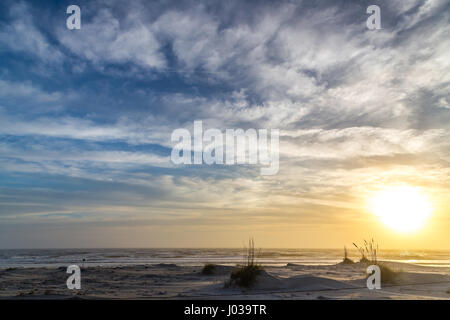 Morgen Nebel durchscheint, als die Sonne, über den Strand von Amelia Island, Florida aufgeht. Stockfoto