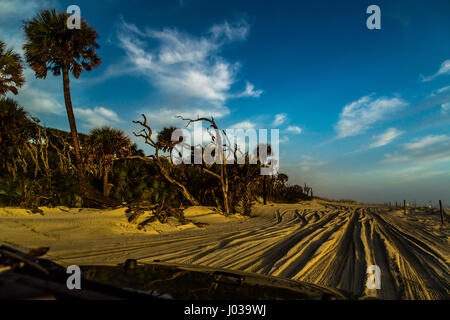 Ein Fahrgastsicht ein Allradfahrzeug durch weichen Sand am Strand zu fahren. Stockfoto