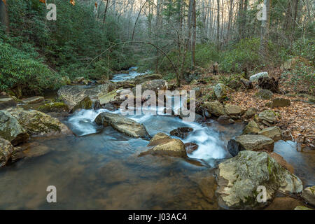 Pearsons Falls ist ein Wasserfall im Colt Creek in der Nähe von Saluda, North Carolina. Stockfoto