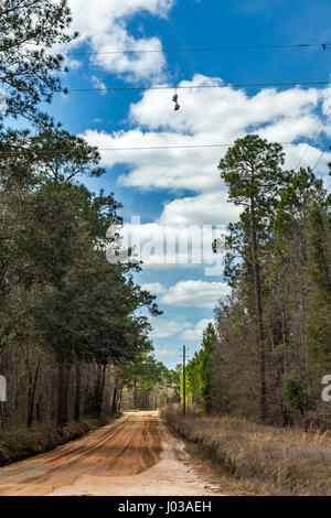 A pair of shoes hang from a power line above a dirt road in Southeastern Georgia. Stockfoto