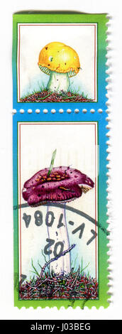 GOMEL, WEIßRUSSLAND, 8. APRIL 2017. Briefmarke gedruckt in Lettland zeigt Bild der Pilze, ca. 2009. Stockfoto