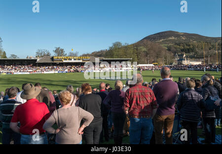 Eine große Menschenmenge beobachten 2017 Aberdeen Asset Melrose Sevens am Greenyards, Melrose, Scottish Borders. Stockfoto