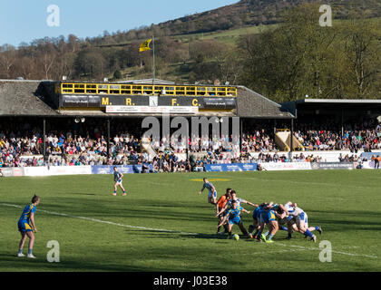 Eine große Menschenmenge beobachten 2017 Aberdeen Asset Melrose Sevens am Greenyards, Melrose, Scottish Borders. Stockfoto