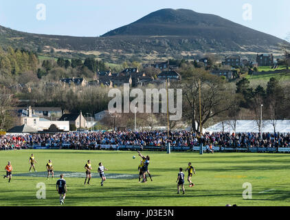 Eine große Menschenmenge beobachten 2017 Aberdeen Asset Melrose Sevens am Greenyards, Melrose, Scottish Borders. Stockfoto