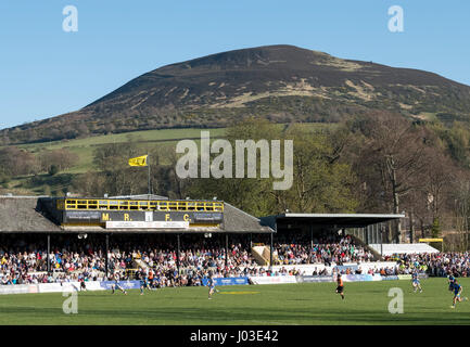 Eine große Menschenmenge beobachten 2017 Aberdeen Asset Melrose Sevens am Greenyards, Melrose, Scottish Borders. Stockfoto