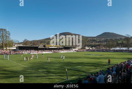 Eine große Menschenmenge beobachten 2017 Aberdeen Asset Melrose Sevens am Greenyards, Melrose, Scottish Borders. Stockfoto