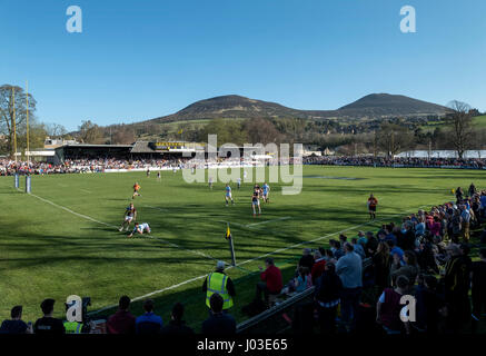 Eine große Menschenmenge beobachten 2017 Aberdeen Asset Melrose Sevens am Greenyards, Melrose, Scottish Borders. Stockfoto