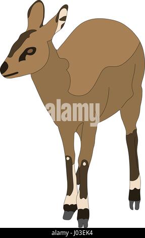 Hand gezeichnete Porträt eine wilde Klipspringer-Antilope Stock Vektor